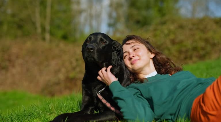 The Ultimate Guide to Building a Holistic Wellness Routine