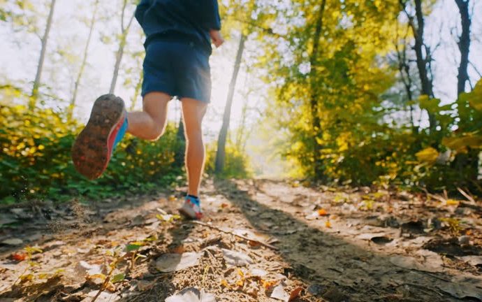 The Importance of Taking Breaks for Mental Clarity