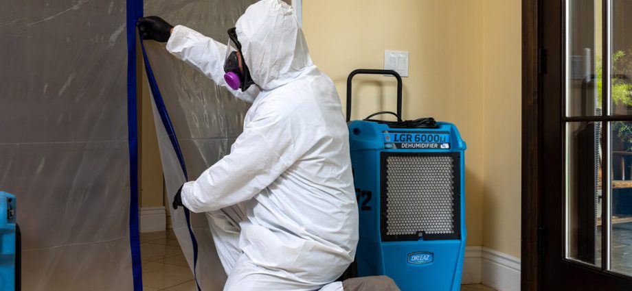 How Professional Mold Remediation Protects Your Family’s Health