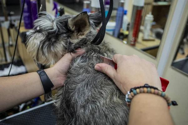 How to Diagnose Common Water Heater Problems