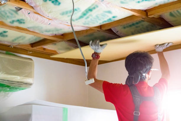 Professional Prince George insulation company You Can Rely On